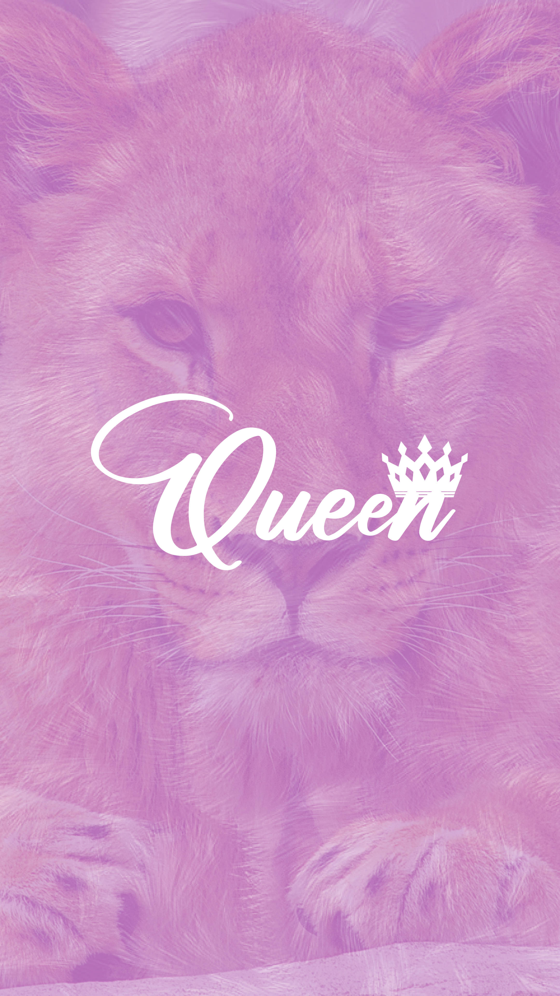 King And Queen Purple Lioness Wallpaper