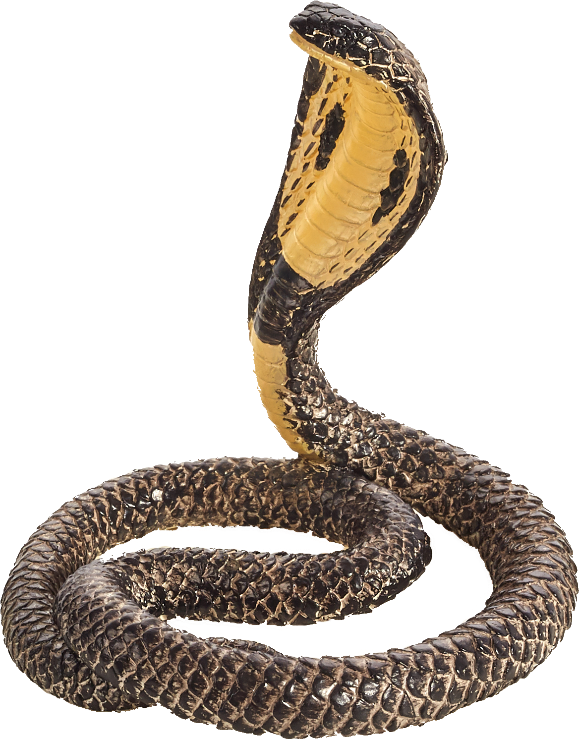 King Cobra Displaying Hood PNG