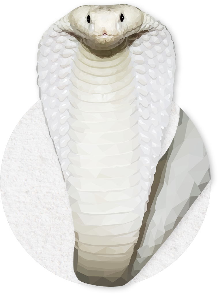 King Cobra Illustration PNG