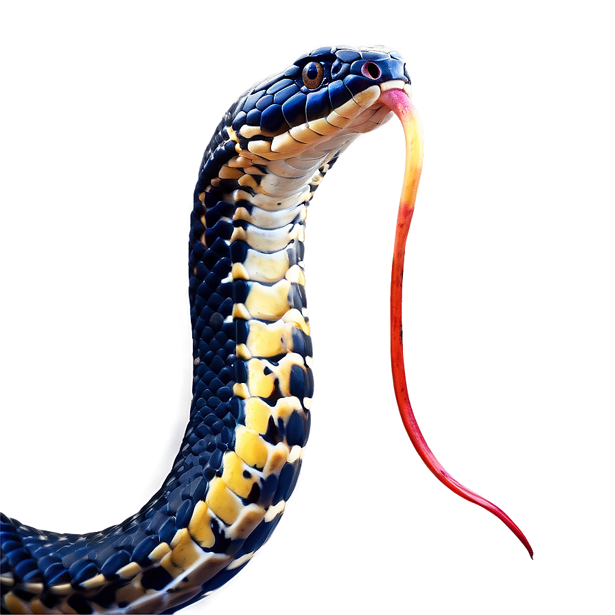 Download King Cobra Snake Png 05032024 | Wallpapers.com