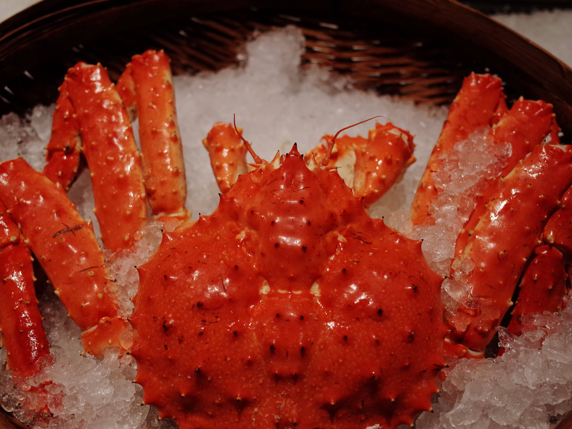 King Crab Buried In Ice Wallpaper