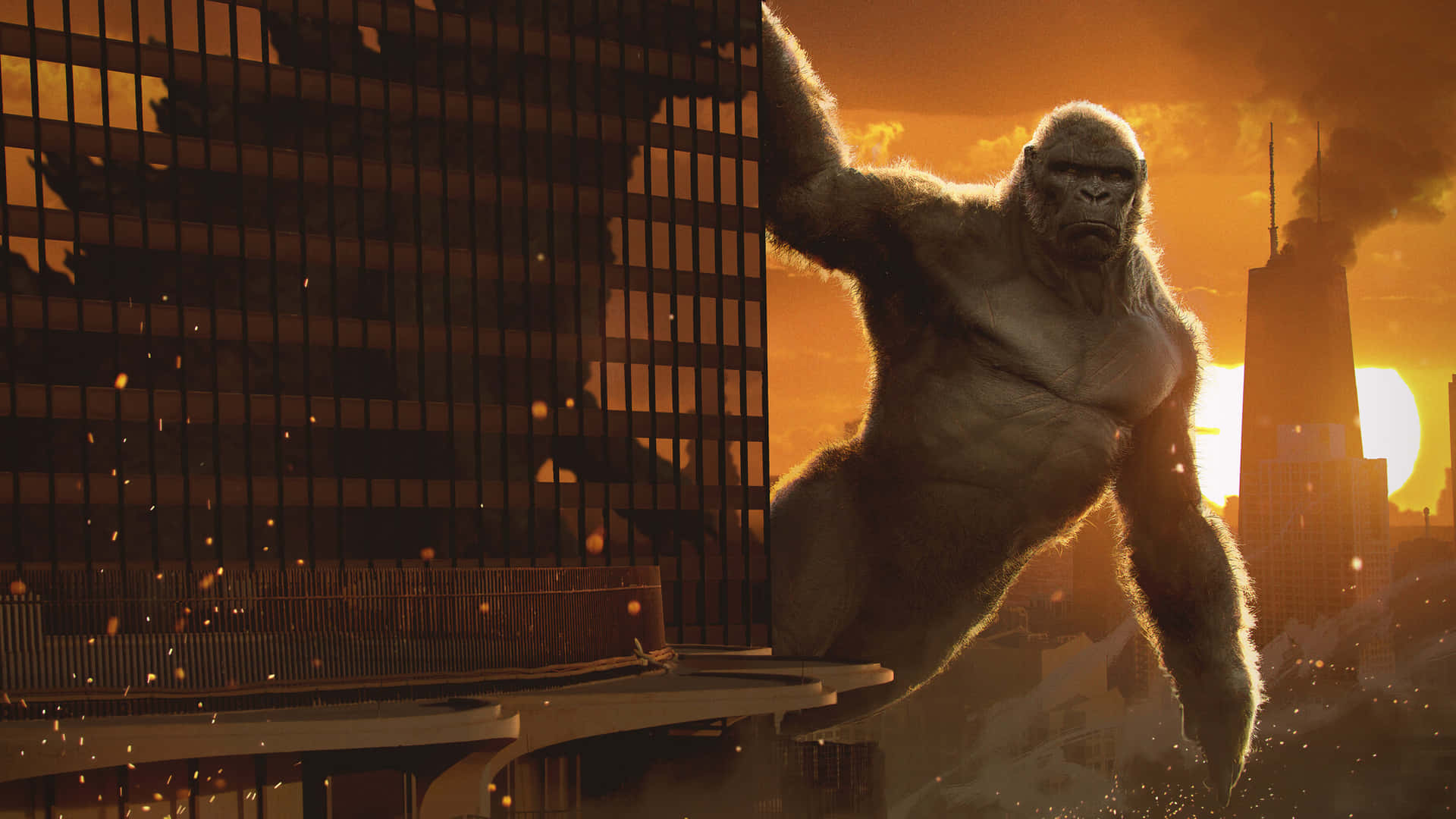 Kong - The Movie - Wallpaper Wallpaper