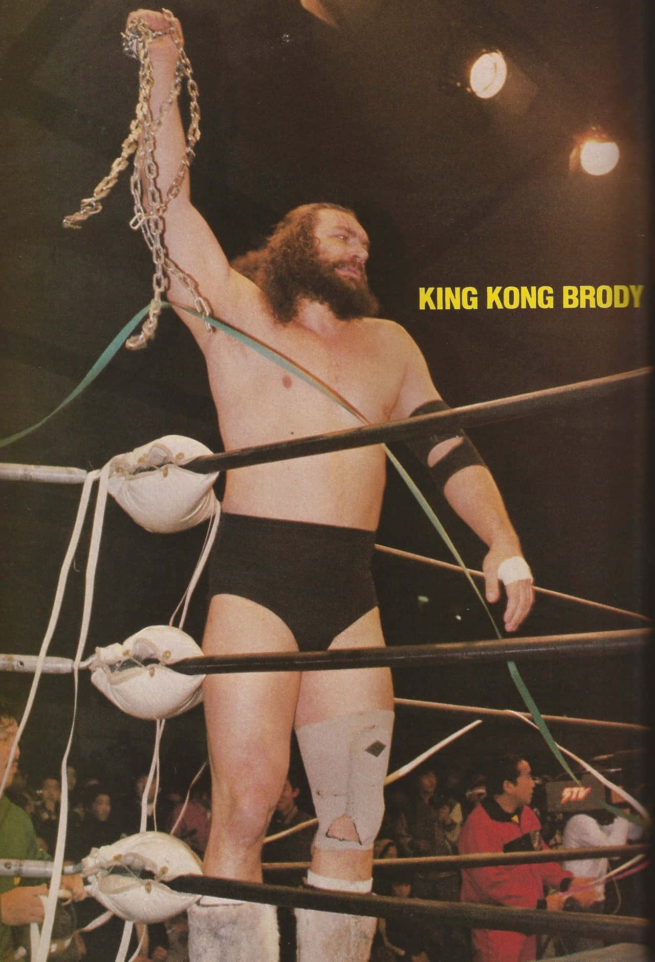 Kong Kong Bruger Brody Tas Det Med Magt Wallpaper