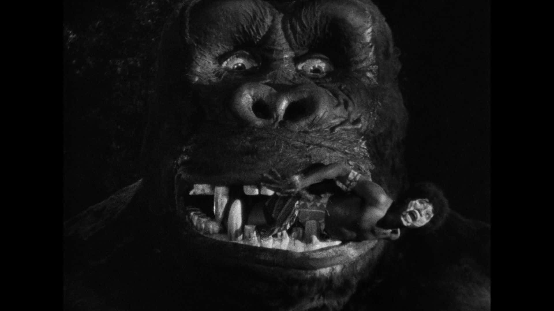 A Gorilla With His Mouth Open Is Shown In This Black And White Photo