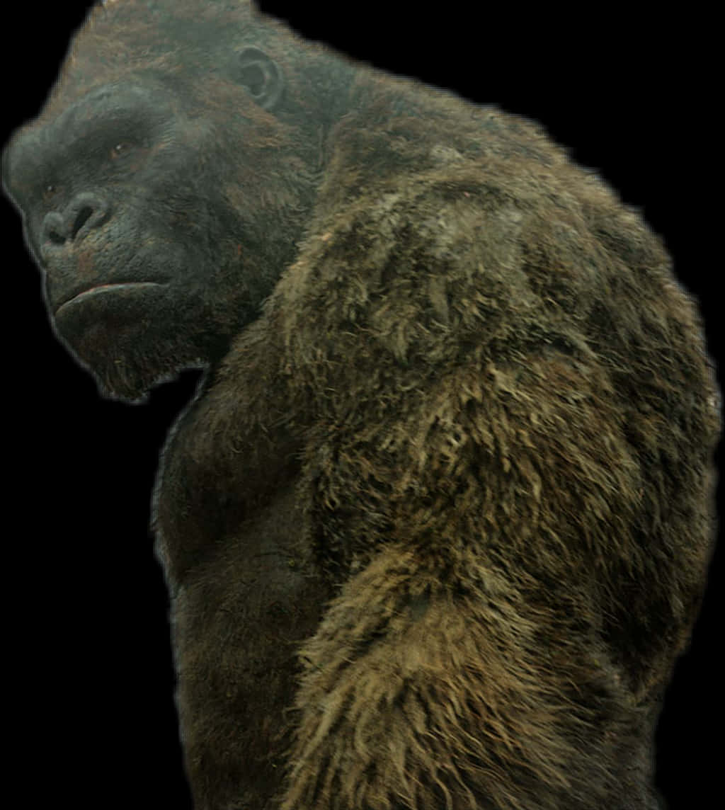 King Kong Profile Portrait PNG