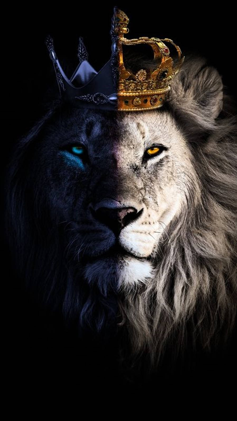 King Lion Galaxy Wallpaper