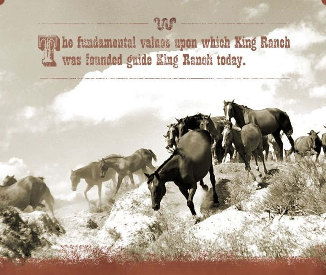 "Enjoy the majesty of King Ranch in south Texas."