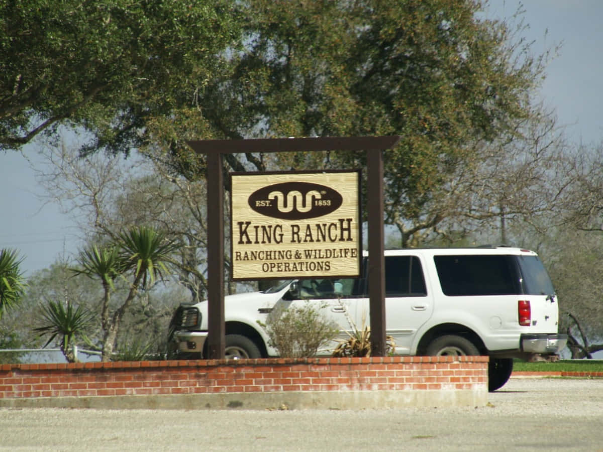 Labellezza Selvaggia Di King Ranch Nel Sud Del Texas