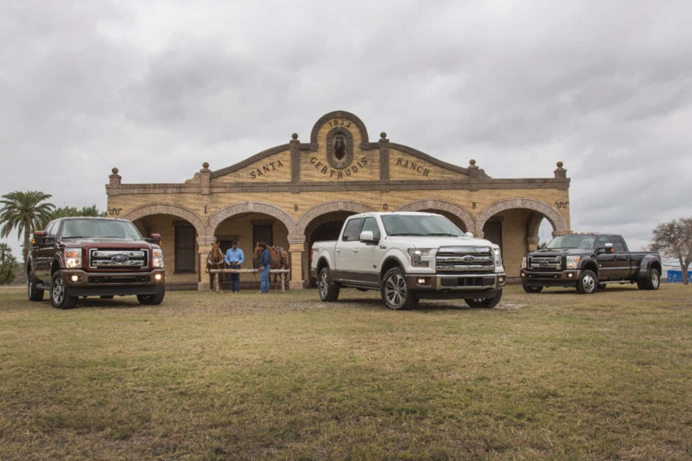 “Explore The Expansive Beauty of King Ranch Texas”