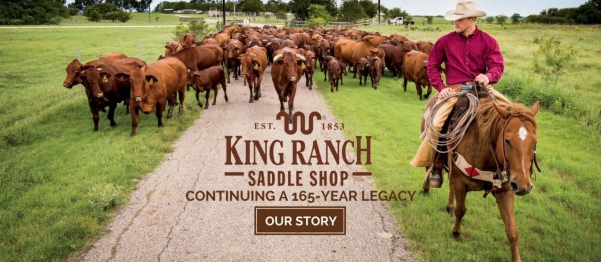 Gedig Ut På Ett Äventyr Genom King Ranch Texas