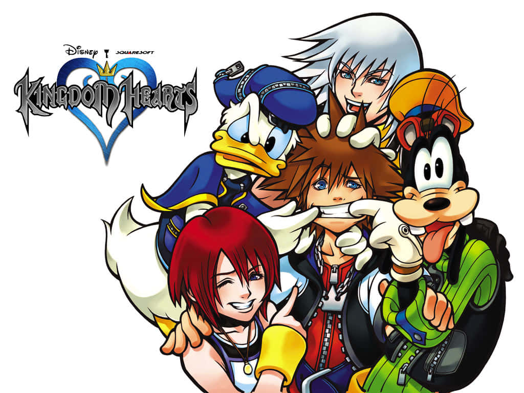 Kingdom Hearts characters posing together in an epic wallpaper Wallpaper