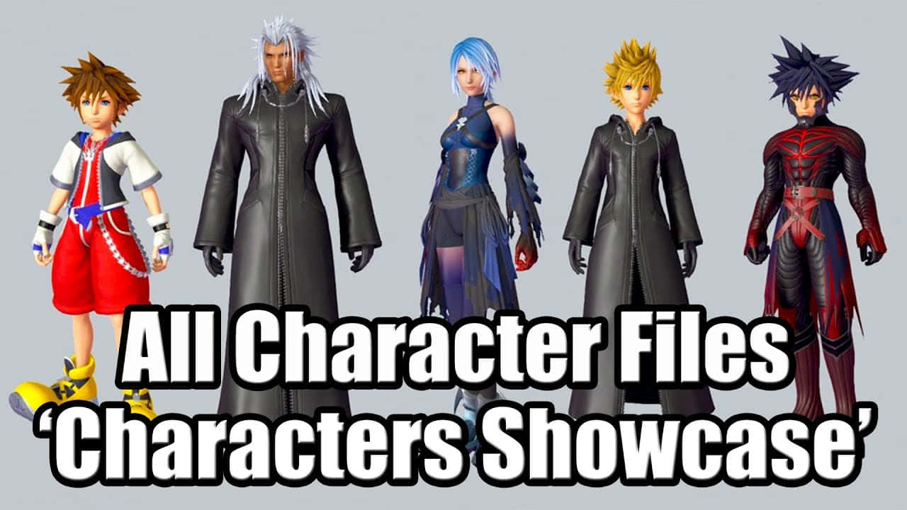 Kingdom Hearts Characters Assembled Wallpaper