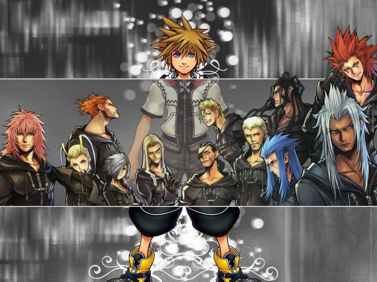 Organization 13 Members from Kingdom Hearts Series Wallpaper