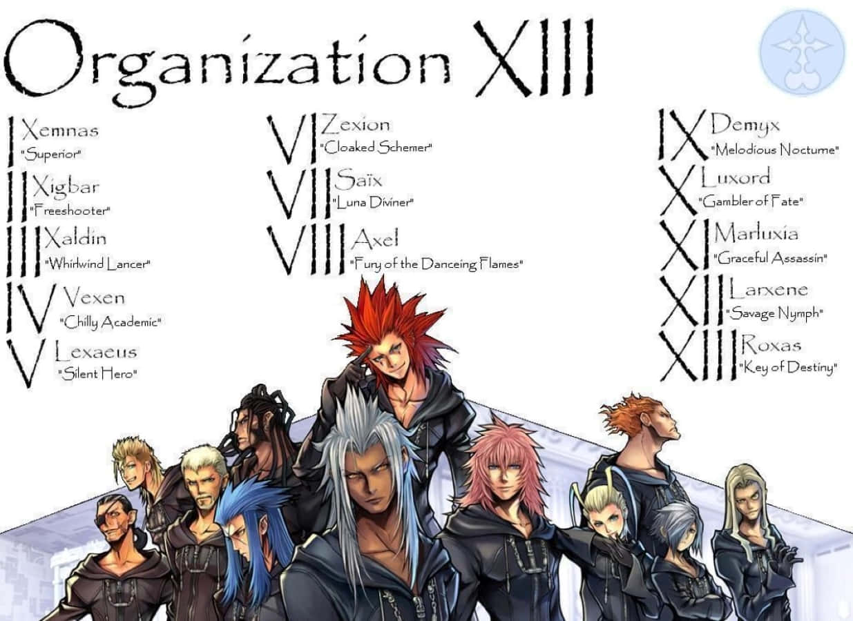 Members of Organization XIII striking a pose in Kingdom Hearts Wallpaper