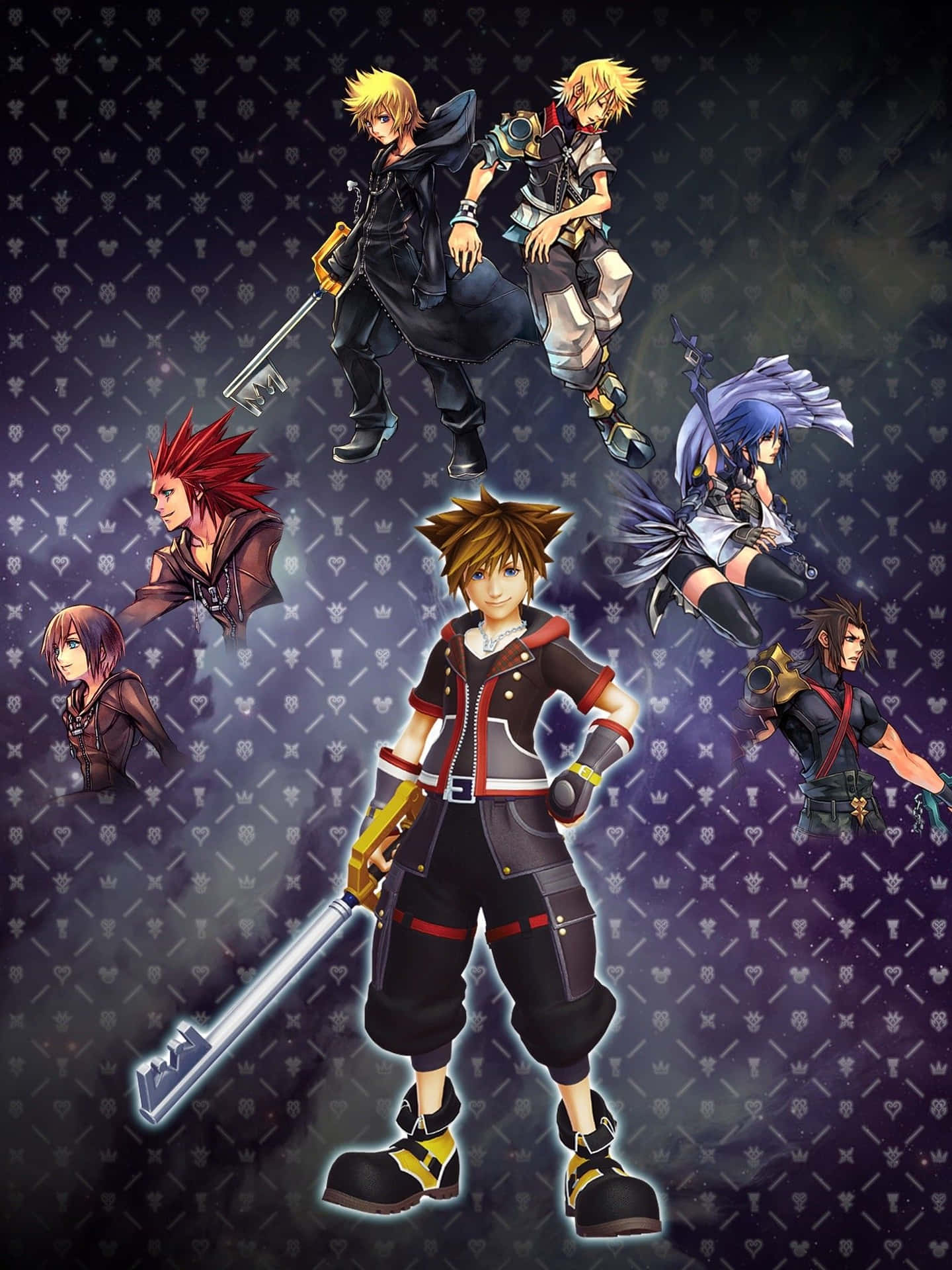 Kingdom Hearts Organization 13 Members in Action Wallpaper