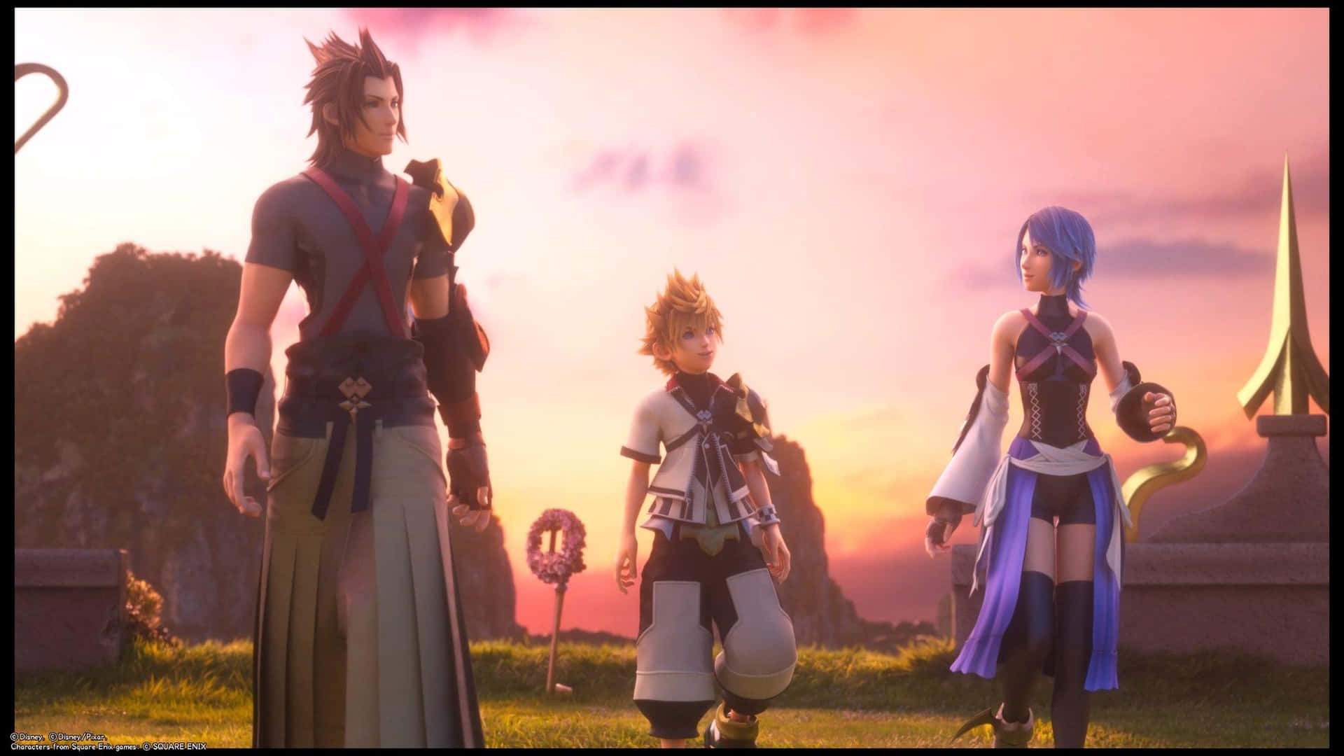Kingdom Hearts Terra - Heroic Stance Wallpaper