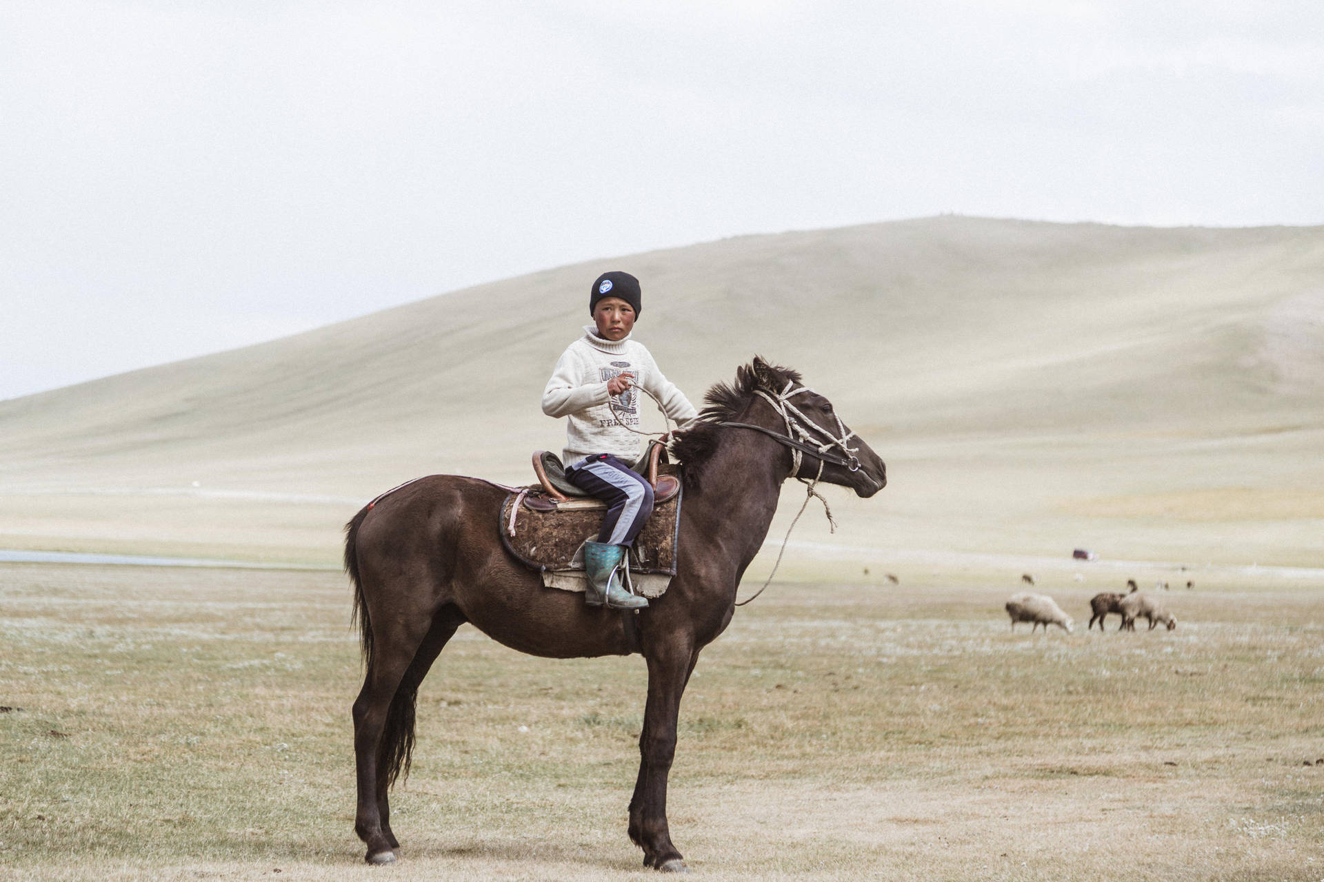 Kirgisistan Horse Land Wallpaper