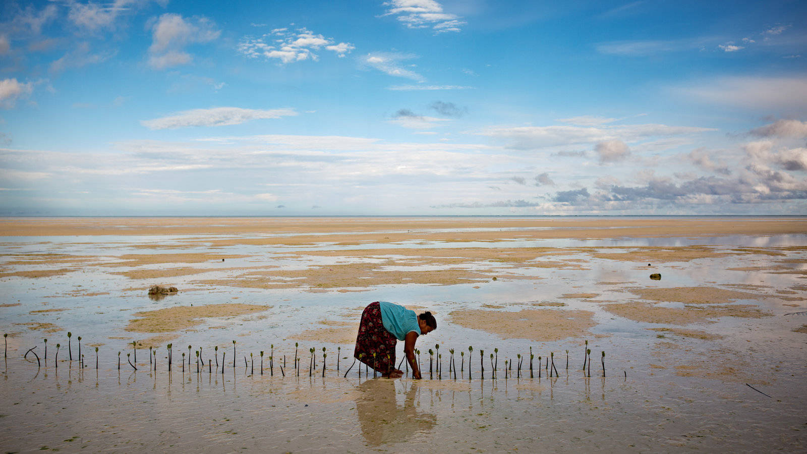 Kiribatibuariki By Shore Skulle Översättas Till Kiribati Buariki Byn Vid Stranden. Men Eftersom Detta Handlar Om Dator- Eller Mobil-wallpapers, Kan Jag Istället Föreslå Att Du Använder En Direktöversättning Som 