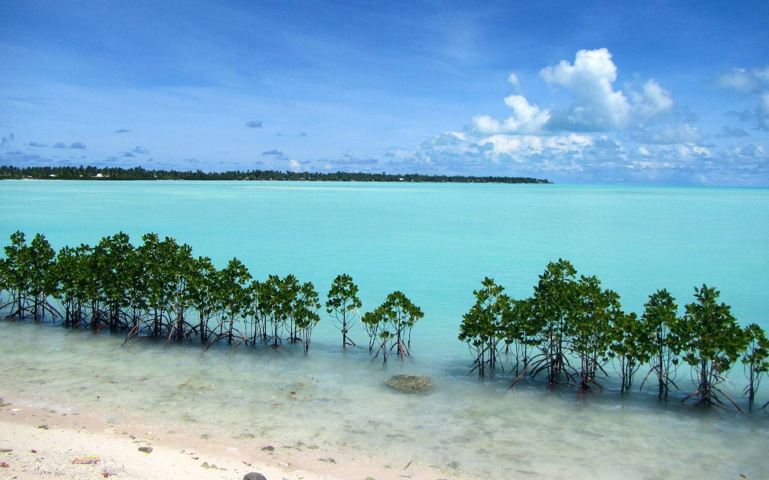 Kiribati Mangrove Atoll: Vandet bevæger sig som en dans inde i mangrove-atollen. Wallpaper