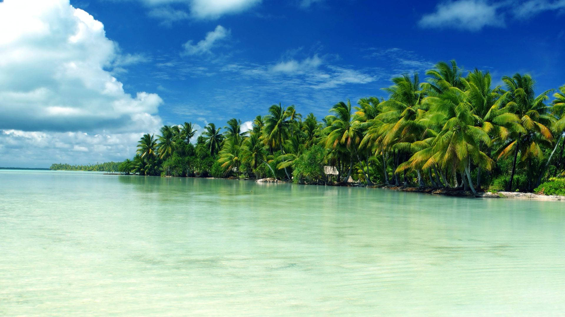 Kiribati Marakei øer Tapet ligner et maleri af Mangrove tider. Wallpaper