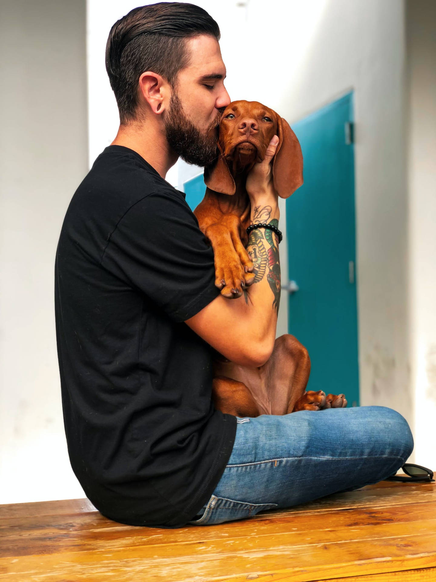 Küssenderhund Liebe In Full Hd Wallpaper