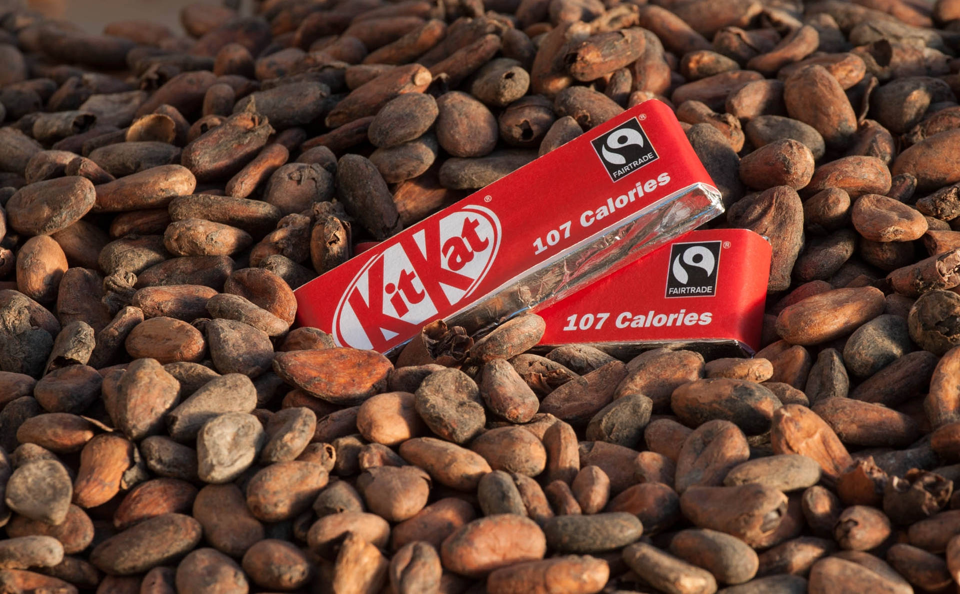 Kit Kat And Cacao Seeds Wallpaper