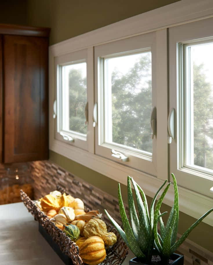 Eineküche Mit Einem Fenster Und Einer Pflanze.