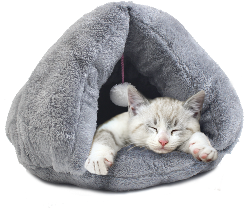 Kitten Sleepingin Cozy Bed SVG