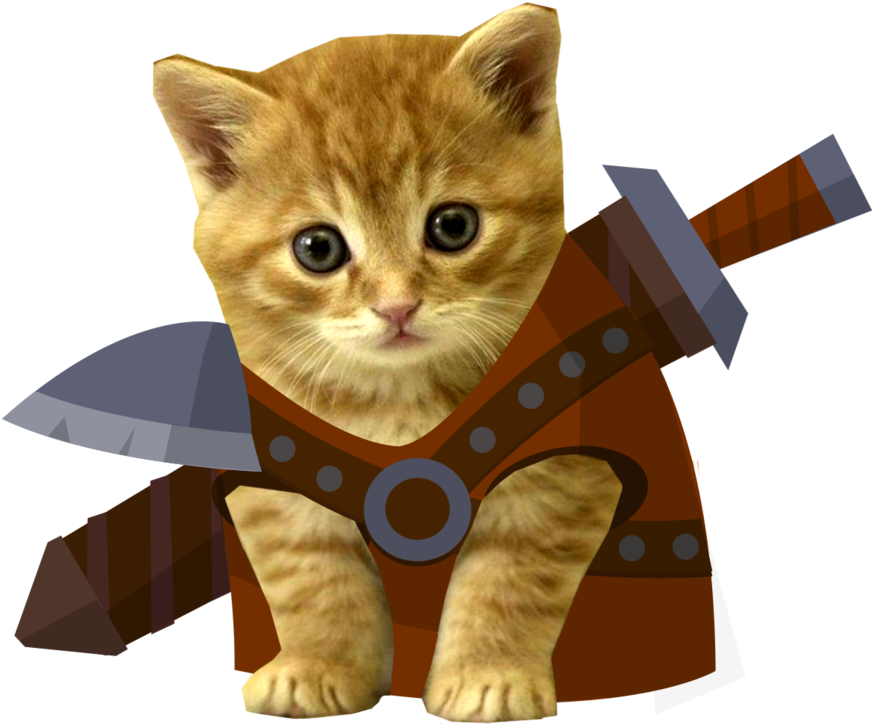 Kitten Warrior_ Costume Fantasy.png PNG