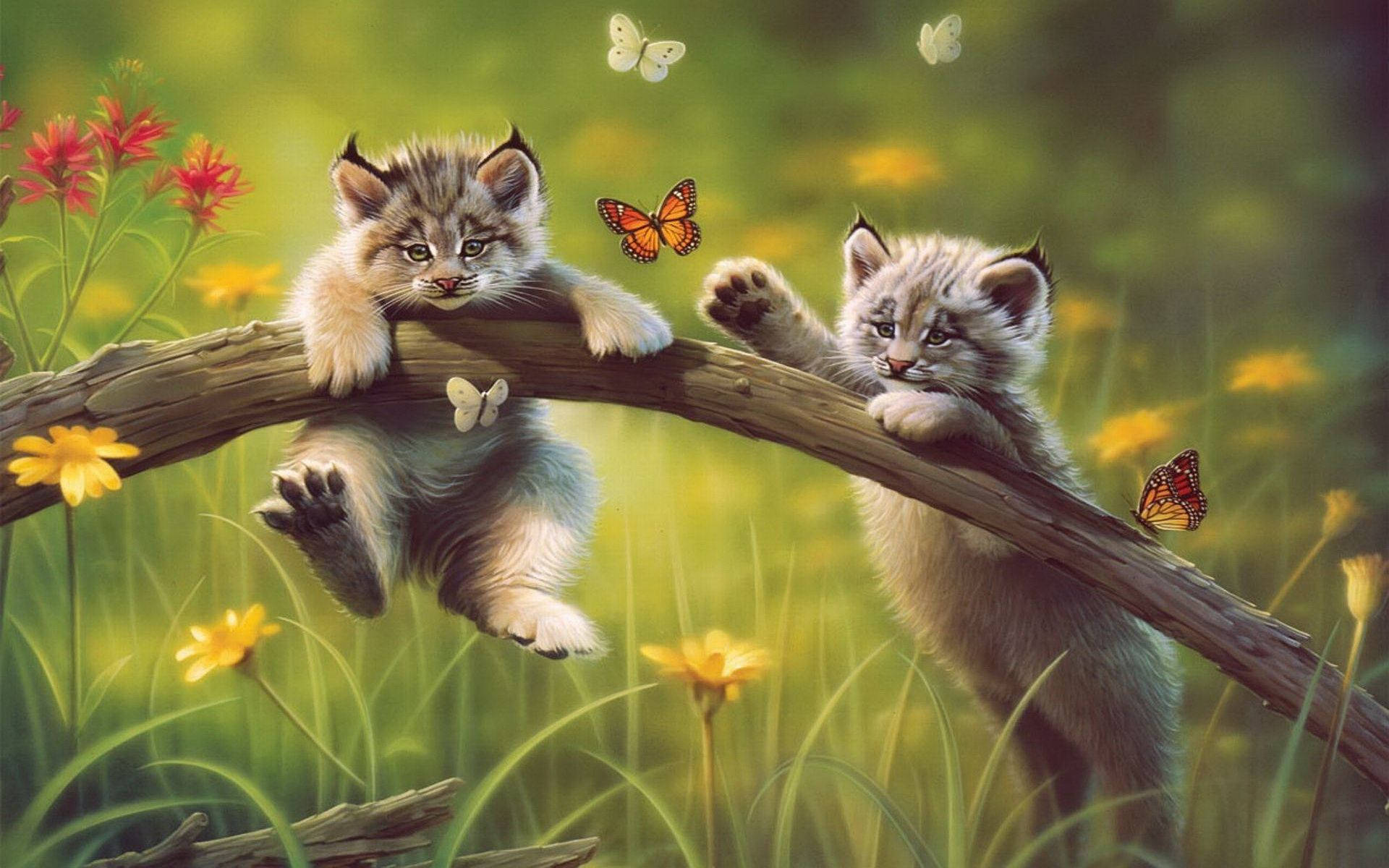 Kittens Chasing Butterflies Wallpaper