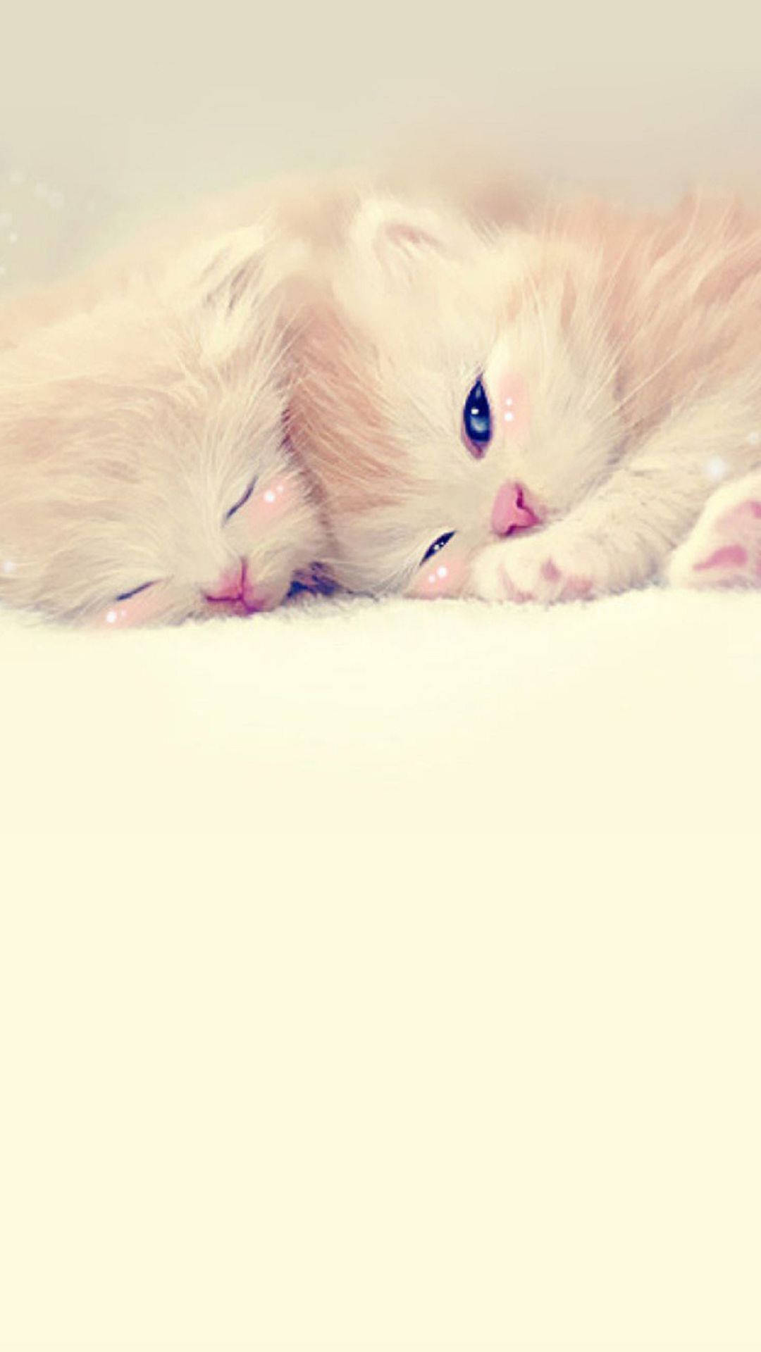 Kittens Cute Iphone Lock Screen Wallpaper