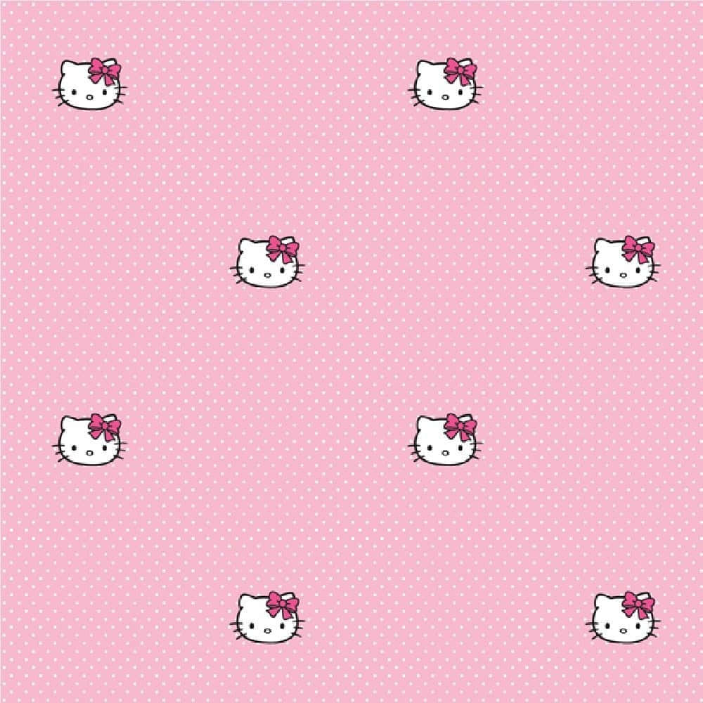 Cute Kitty White Wallpaper Wallpaper