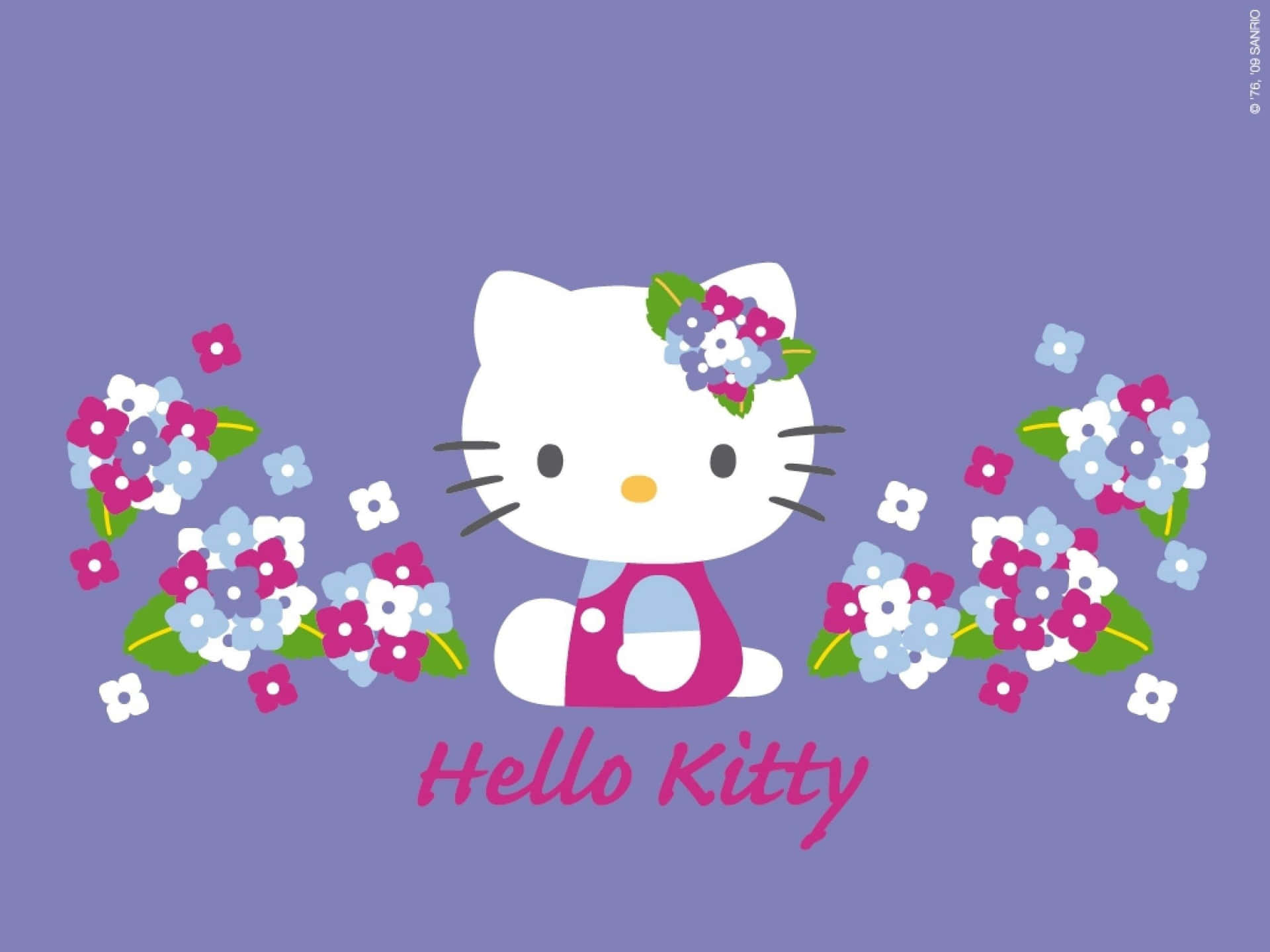 Adorable Kitty White posing on a pink floral background Wallpaper