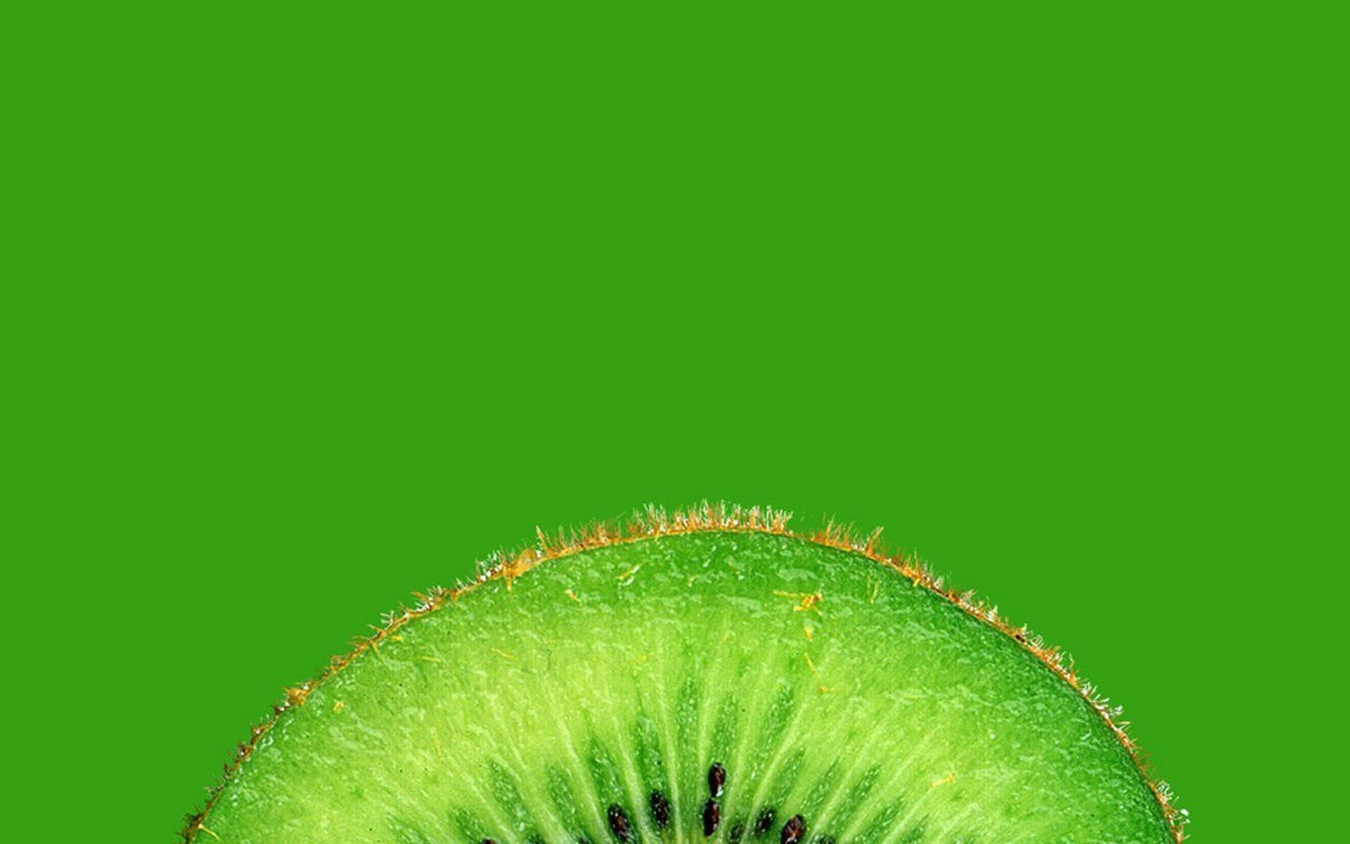 Uncurioso Kiwi Nella Natura Selvaggia.