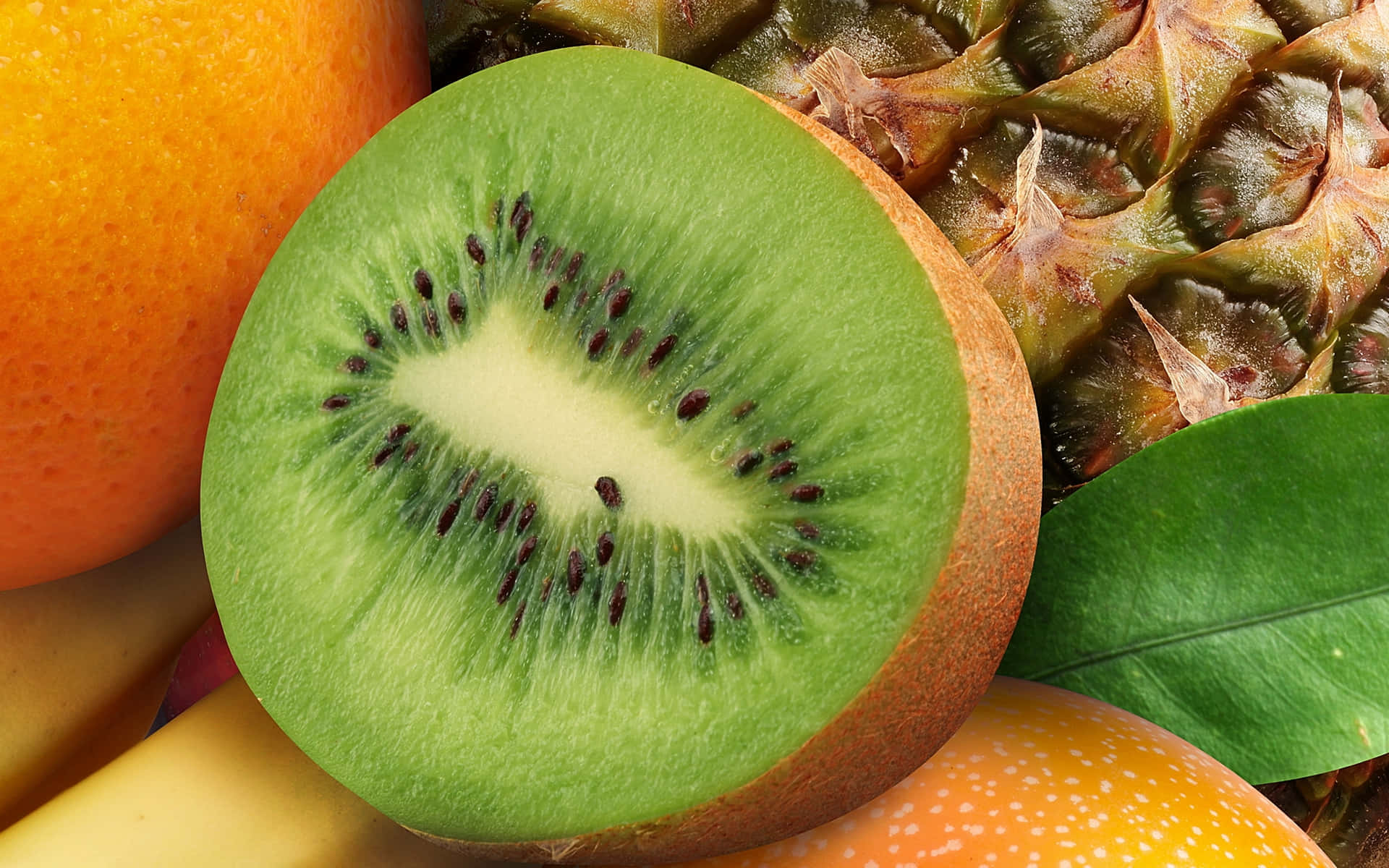 A Close-up of Ripe Kiwi Slices with an Artistic Touch