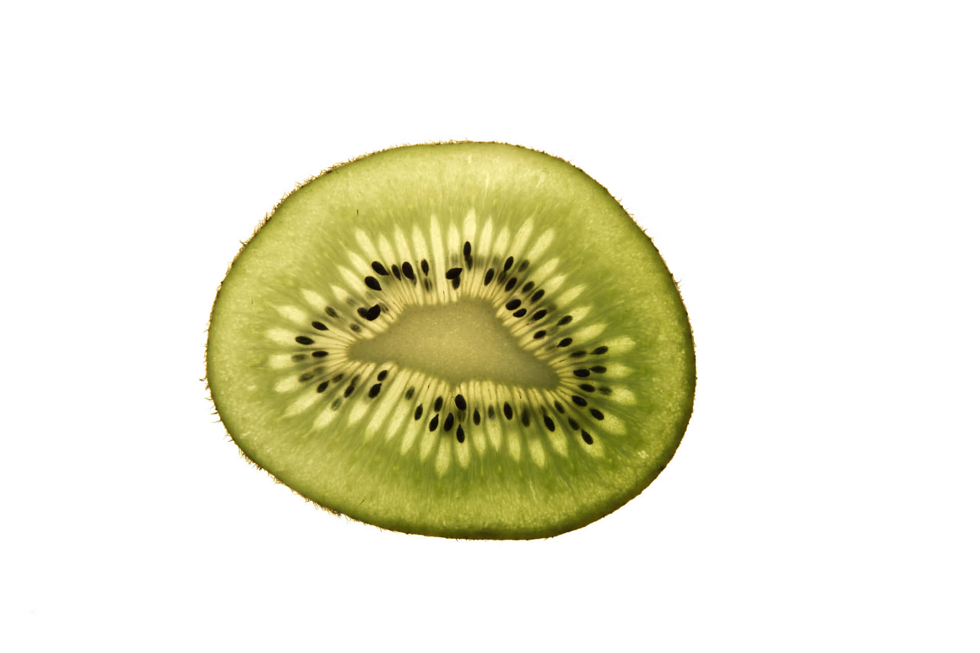 Close-up of a Fresh Kiwi Fruit Slice
