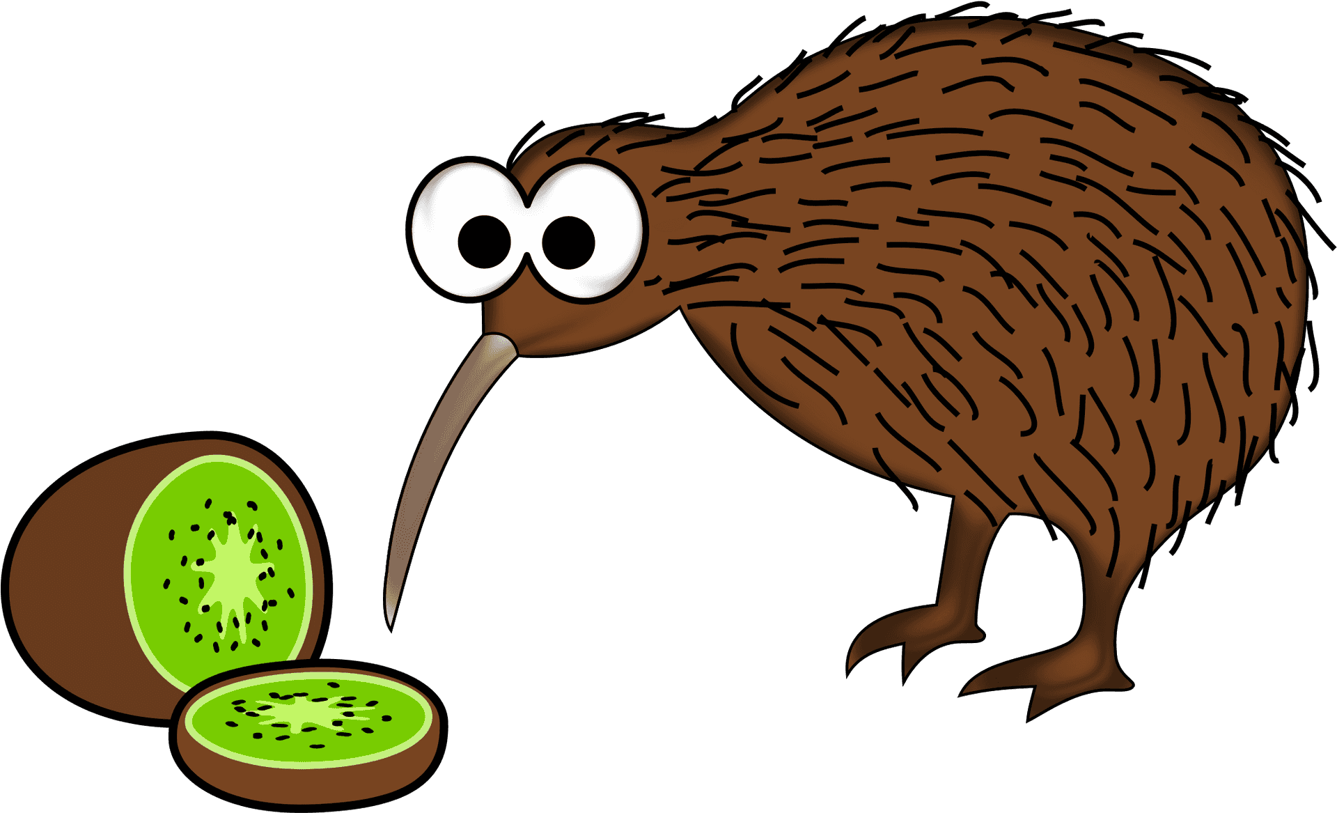 Kiwi Birdand Kiwi Fruit Cartoon PNG