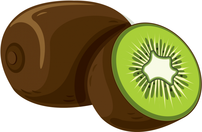 Kiwi Fruit Cut Vector Illustration PNG