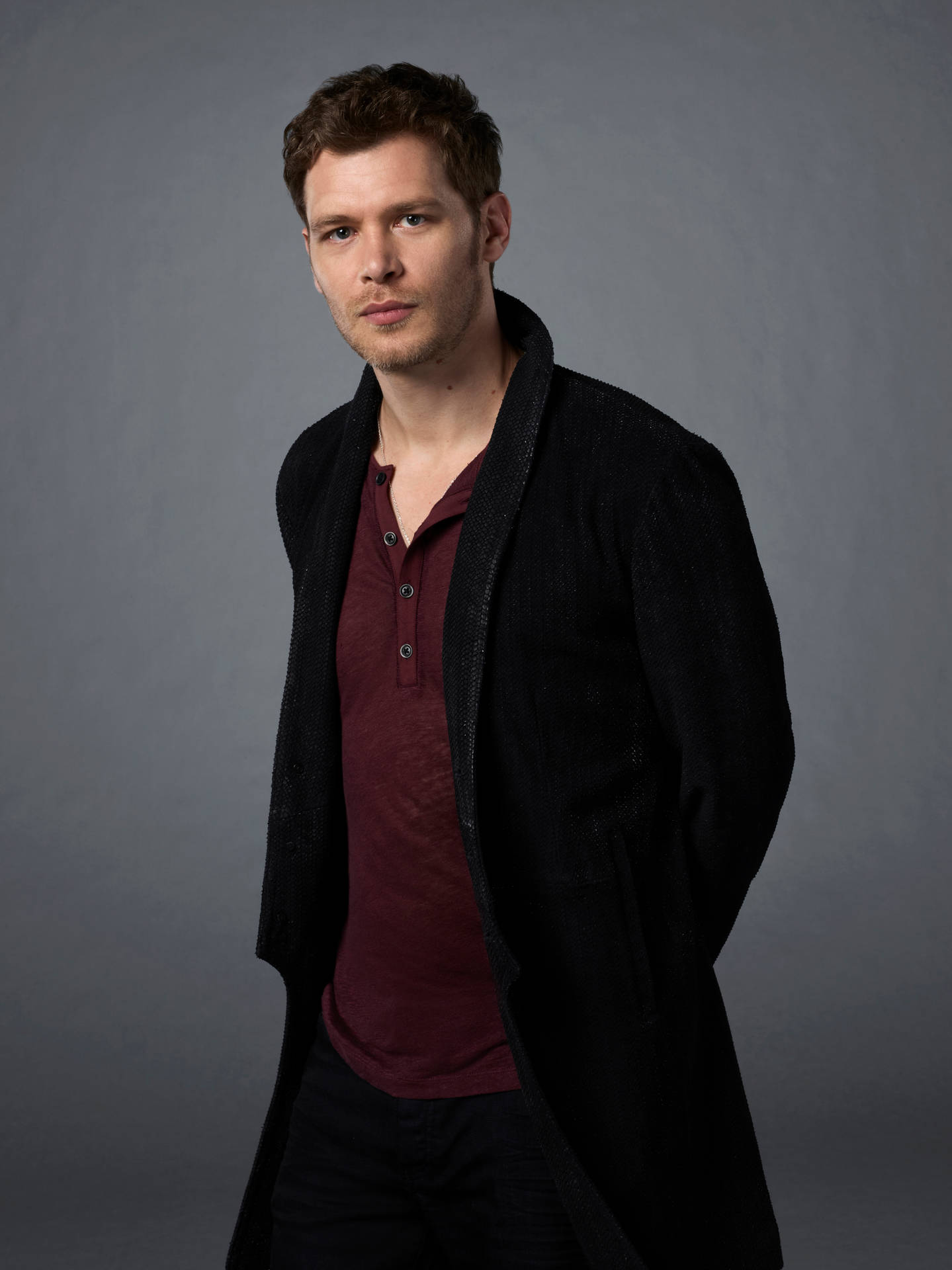 Download Klaus Mikaelson With Gray Background Wallpaper 
