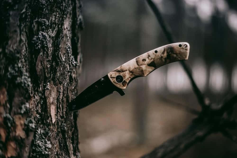 A Knife Is Hanging On A Tree In The Woods