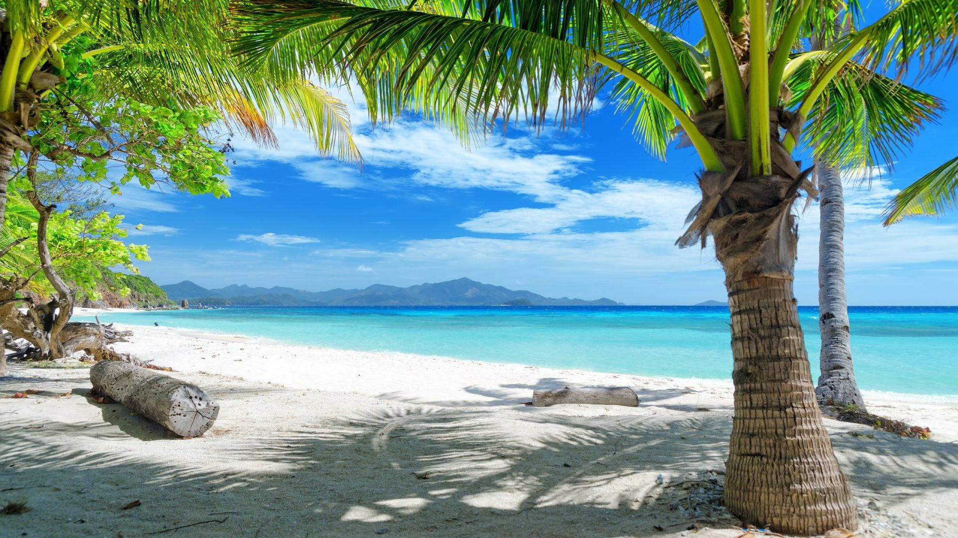 Knockout Tropical Island Area Wallpaper