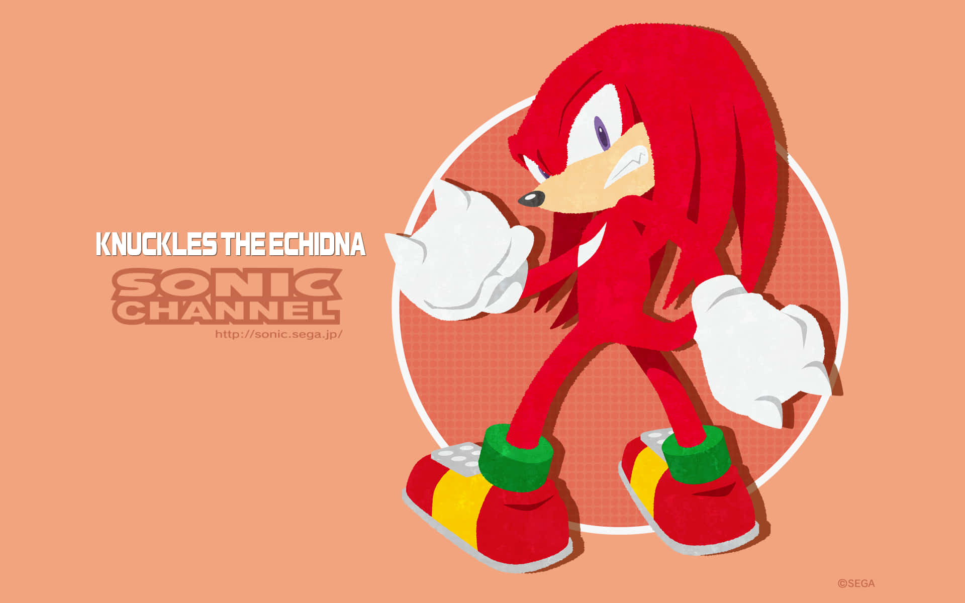 Knucklesfrån Sonic The Hedgehog-serien Wallpaper