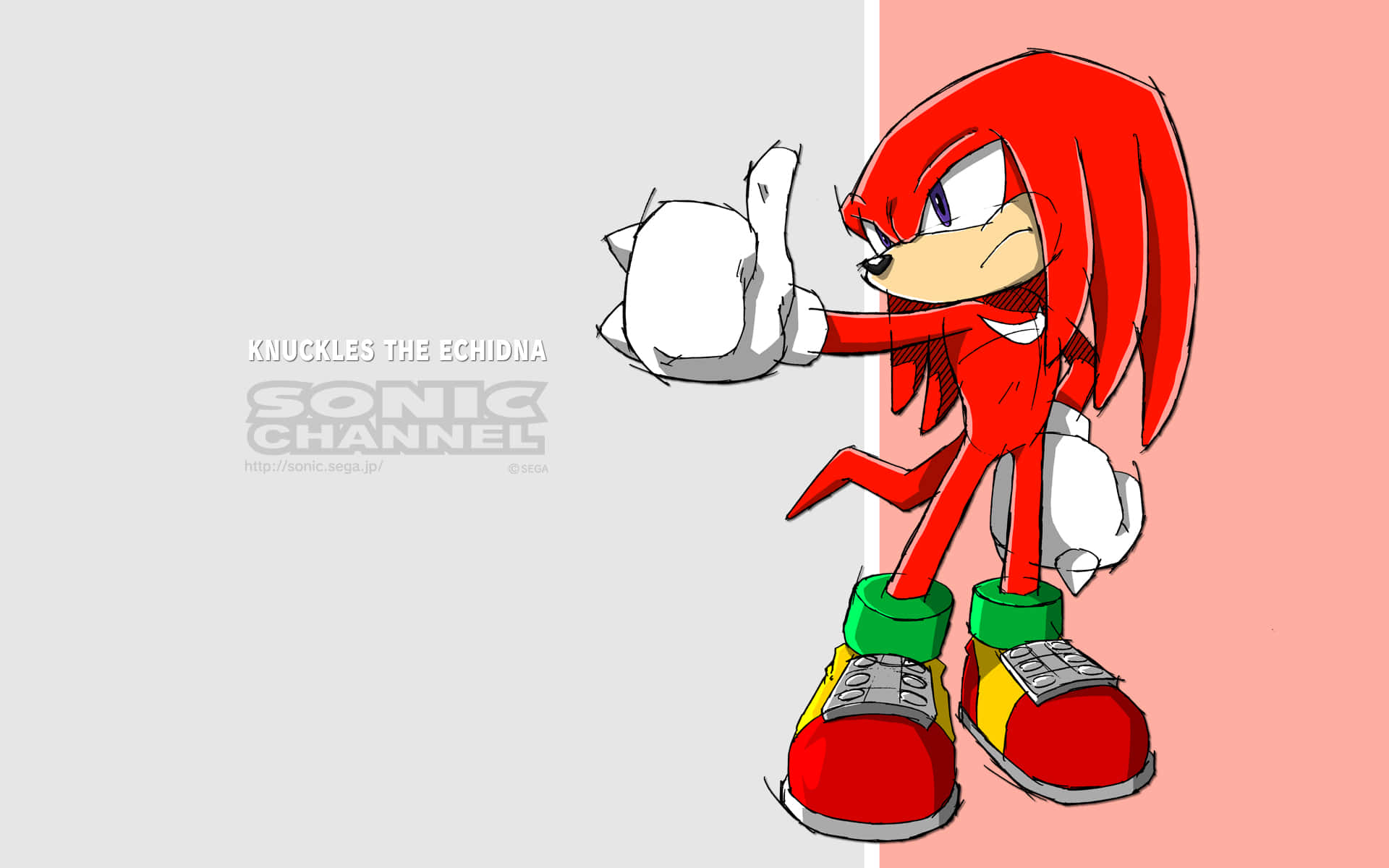 Knuckles the Echidna stands guard against injustice and danger. Wallpaper
