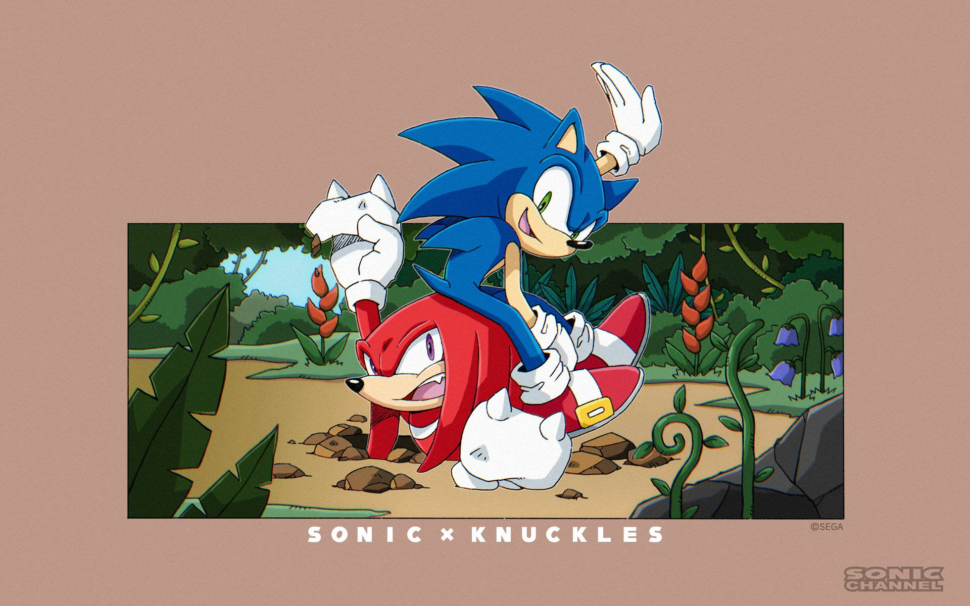 Knuckles The Echidna Bestfriend Sonic Wallpaper