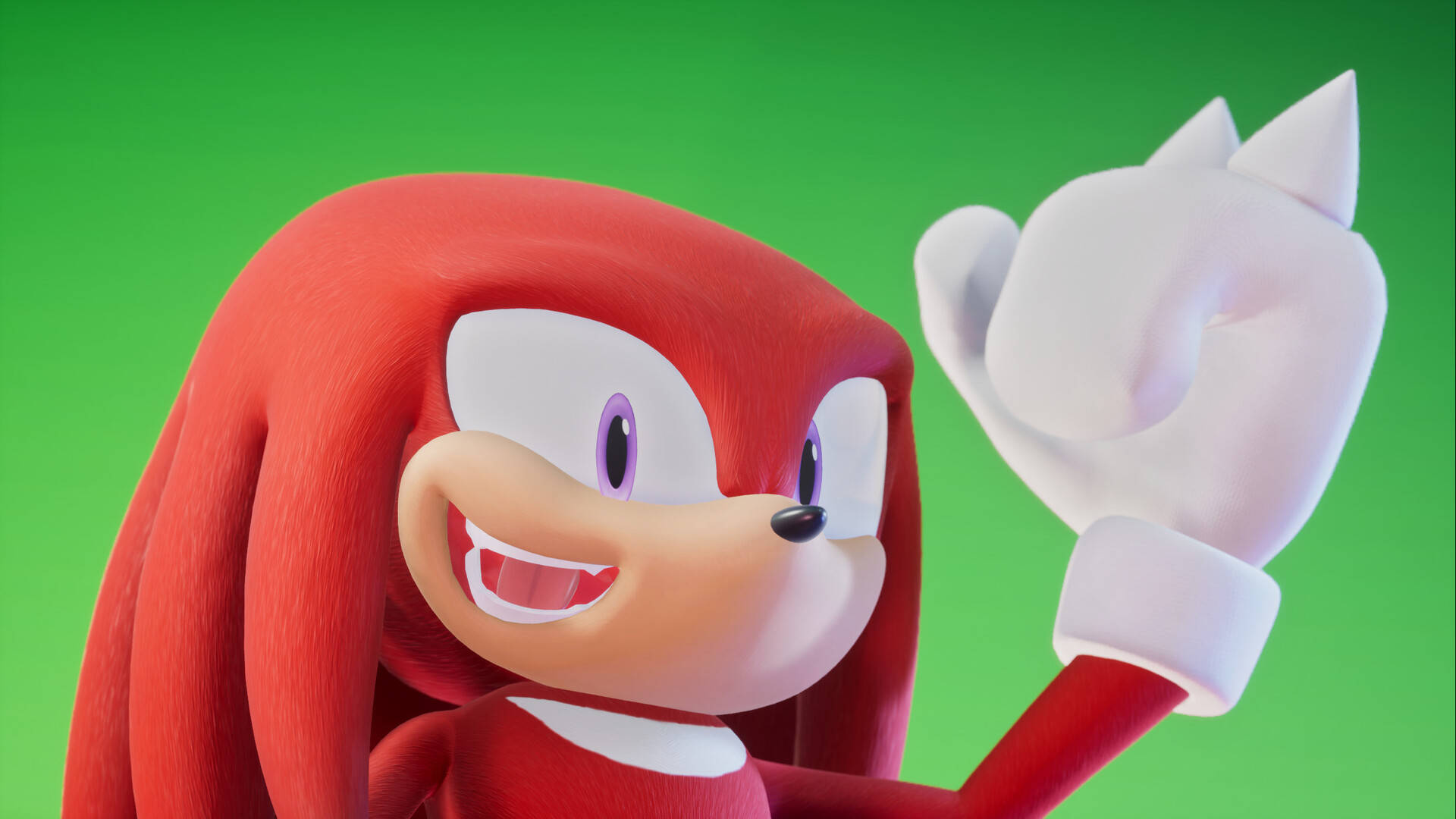 Knuckles The Echidna Green Background Wallpaper
