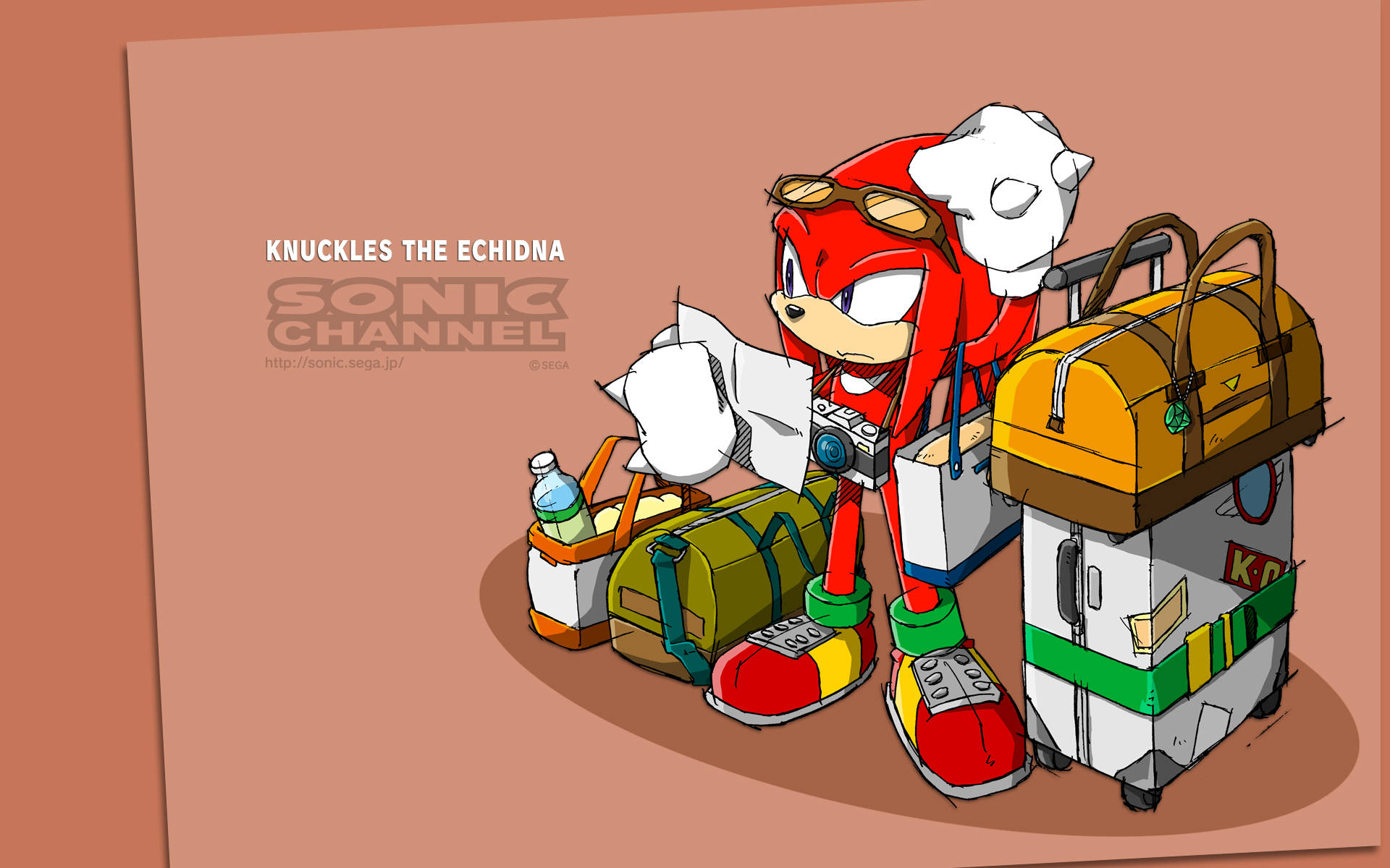 Caption: Dynamic Knuckles the Echidna in Action Wallpaper