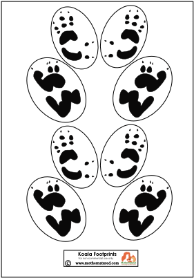 Koala Footprints Illustration PNG
