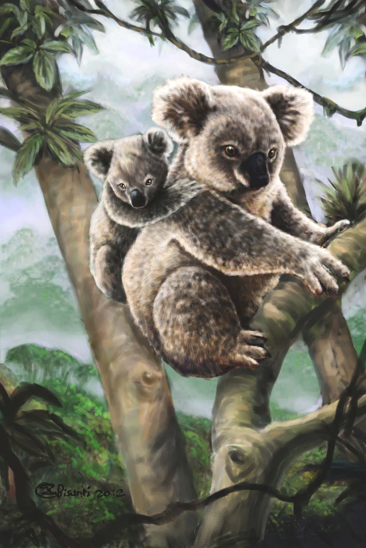 Nydden Søde Afslapning Af En Koala.