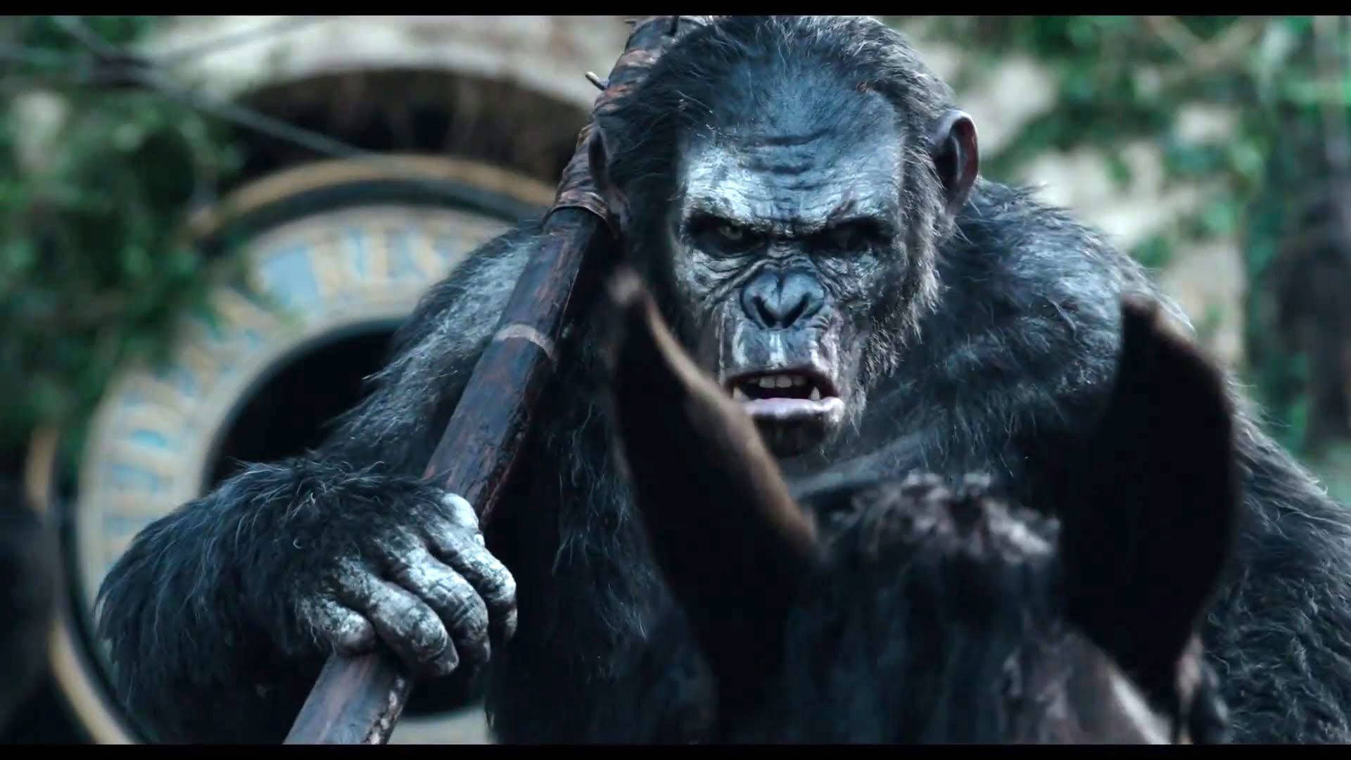 Koba Planet Of The Apes Wallpaper
