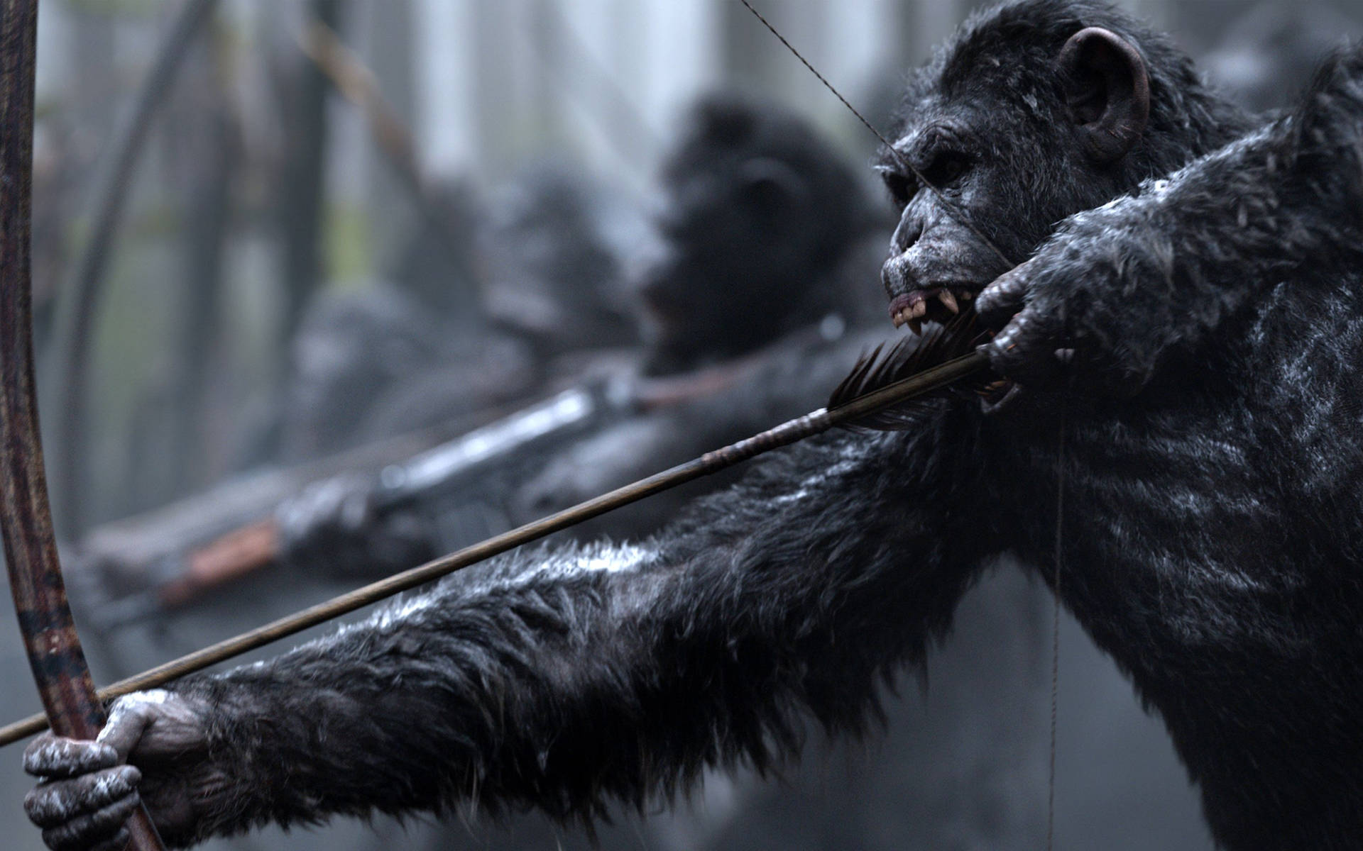Koba War Of The Planet Of The Apes Wallpaper